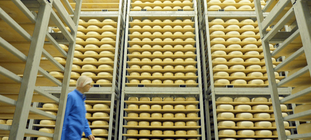 How Amalthea improves cheese yield and sustainability with Infor Integrated