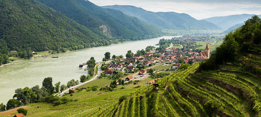 Ultra-fast fibre connects winegrowers in Austria